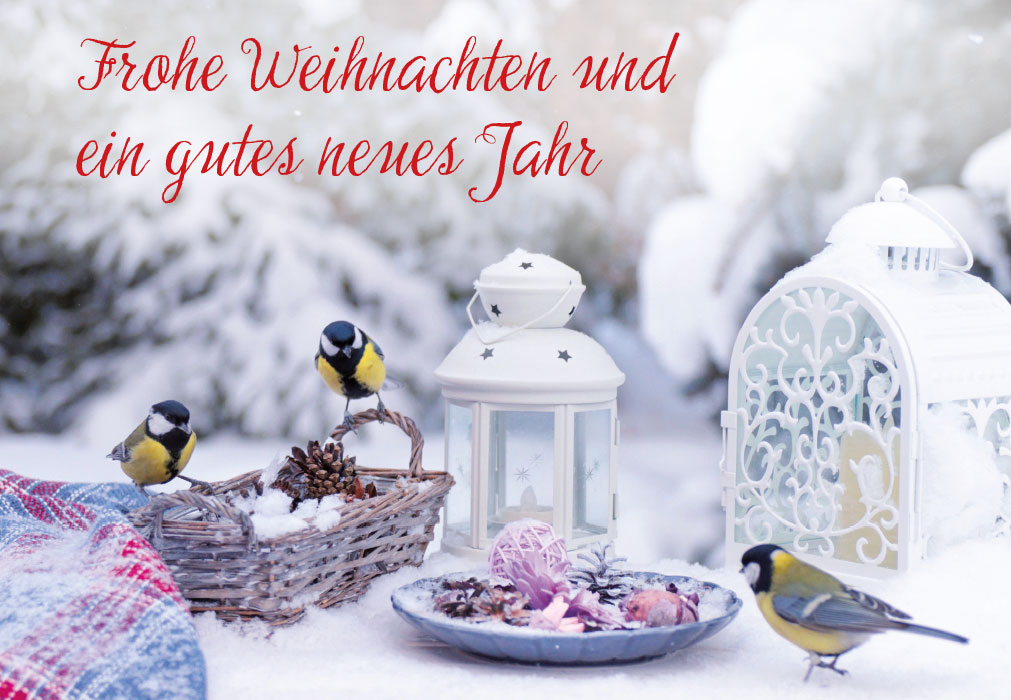 Weihnachten - Kohlmeisen, Windlichter, Korb