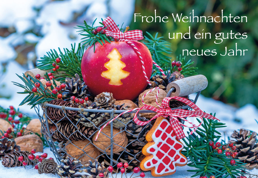 Weihnachten - Apfel mit Weihnachtsbaum, Tannenzapfen, Nüsse