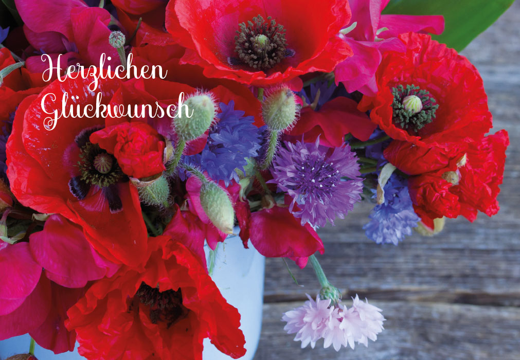 Blumen - rote Narzissen in Vase