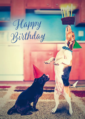 Postkarte - Geburtstag Happy Birthday