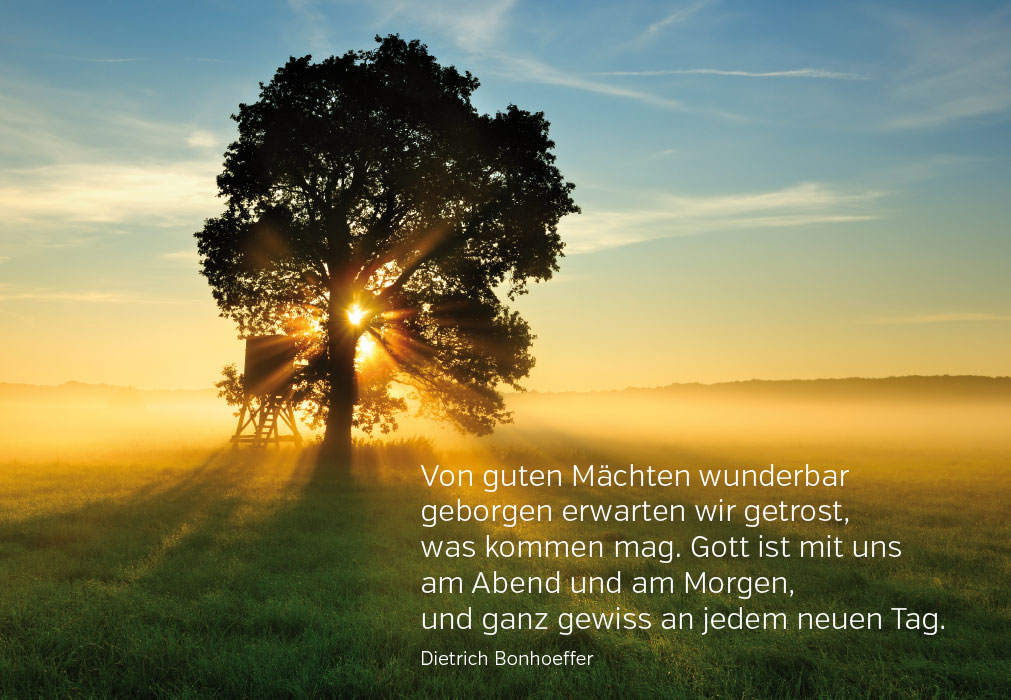 Gedanken - Baum in der aufgehenden Sonne